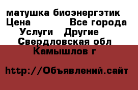 матушка-биоэнергэтик › Цена ­ 1 500 - Все города Услуги » Другие   . Свердловская обл.,Камышлов г.